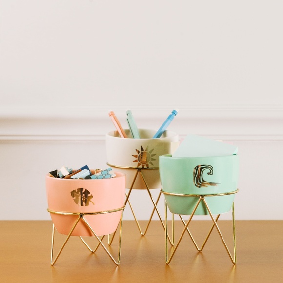 Disney X Popsugar Multi Moana Succulent Pot 3-Piece Set - Picture 2 of 3